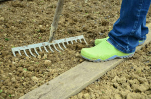 Was macht das Projekt „Pfarrgarten in Bimbach“?